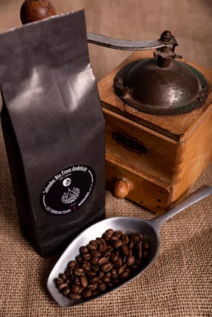 Le Café du salvador Finca Andalucia